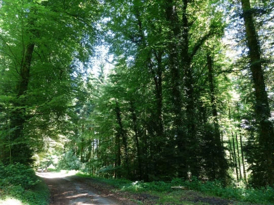 mezieres-oron-la-ville-128