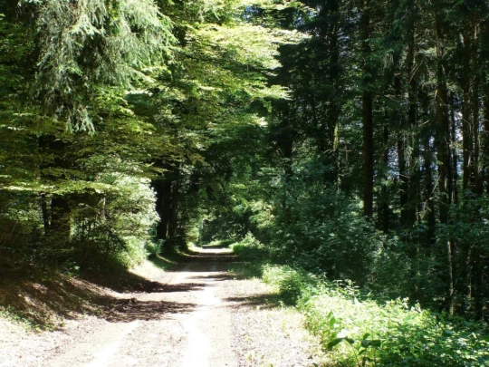 mezieres-oron-la-ville-129