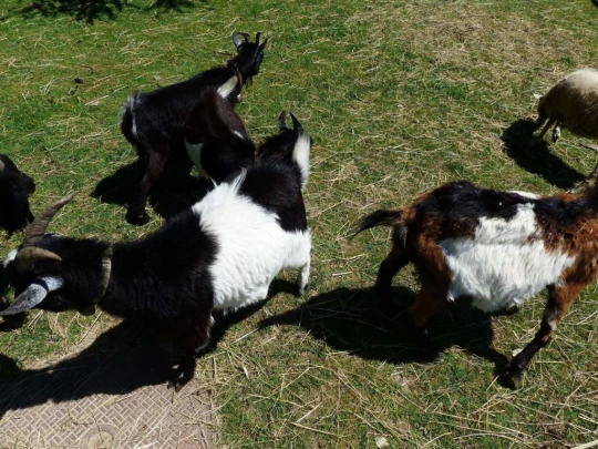 mezieres-oron-la-ville-135