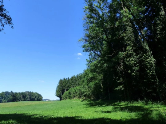 mezieres-oron-la-ville-148