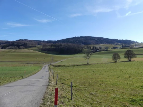 moreillon-paully-mont-pelerin-100