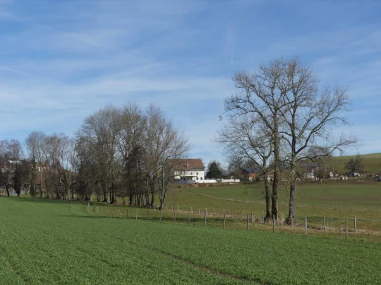 moreillon-paully-mont-pelerin-101