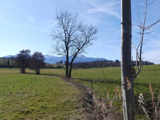 moreillon-paully-mont-pelerin-102