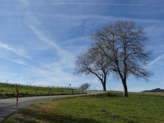 moreillon-paully-mont-pelerin-106