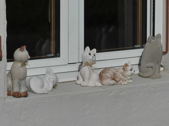 moreillon-paully-mont-pelerin-109