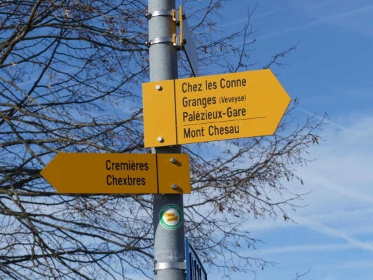 moreillon-paully-mont-pelerin-111