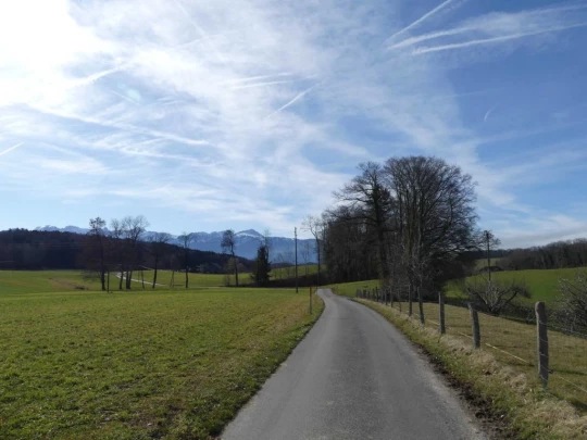 moreillon-paully-mont-pelerin-112