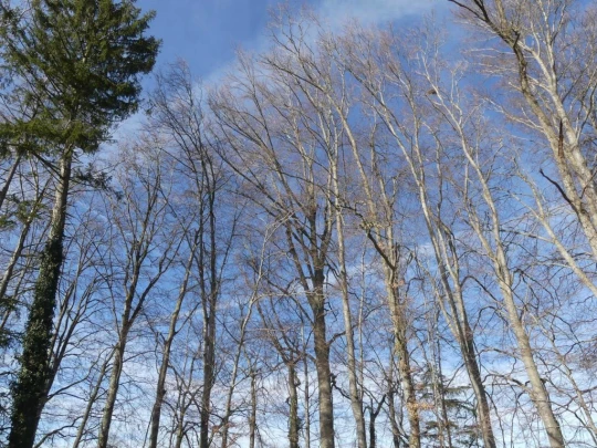 moreillon-paully-mont-pelerin-113