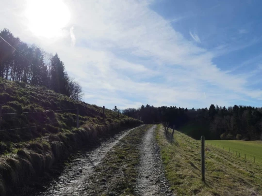 moreillon-paully-mont-pelerin-116