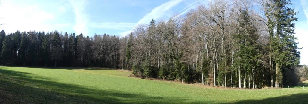 moreillon-paully-mont-pelerin-119