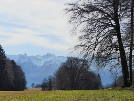 moreillon-paully-mont-pelerin-121