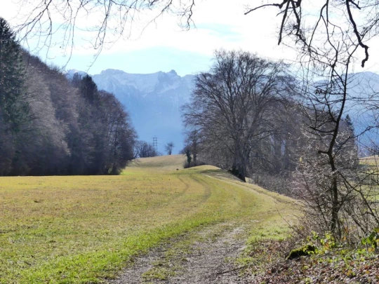 moreillon-paully-mont-pelerin-123