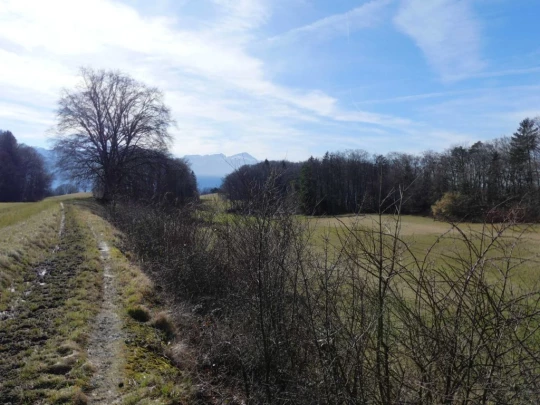 moreillon-paully-mont-pelerin-124