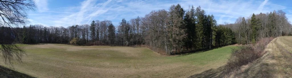 moreillon-paully-mont-pelerin-125