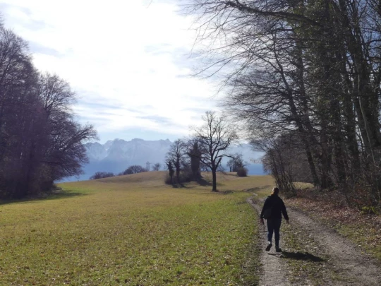 moreillon-paully-mont-pelerin-126