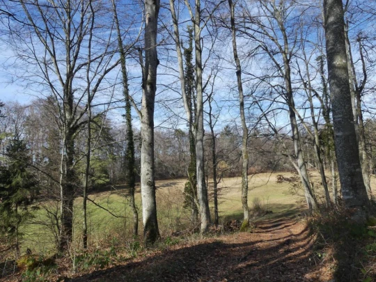 moreillon-paully-mont-pelerin-127