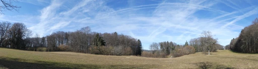 moreillon-paully-mont-pelerin-128