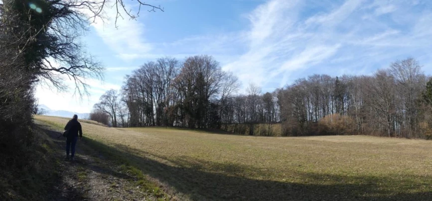 moreillon-paully-mont-pelerin-129