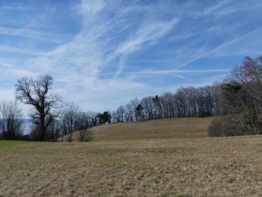 moreillon-paully-mont-pelerin-130