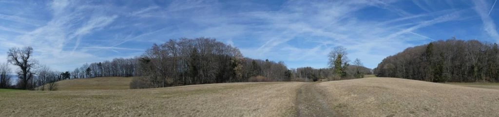 moreillon-paully-mont-pelerin-131