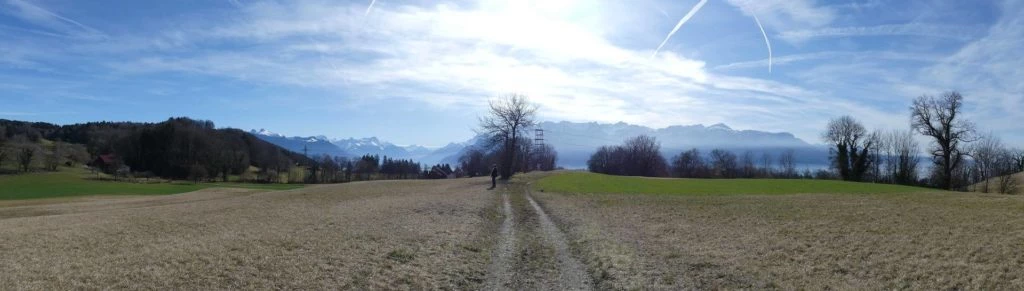 moreillon-paully-mont-pelerin-132