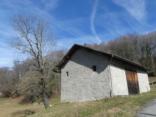 moreillon-paully-mont-pelerin-135