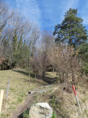 moreillon-paully-mont-pelerin-136