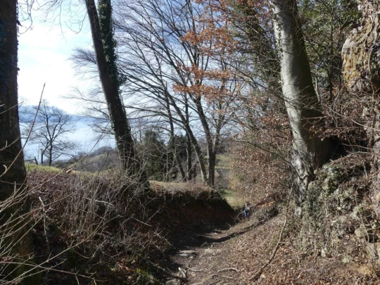 moreillon-paully-mont-pelerin-138