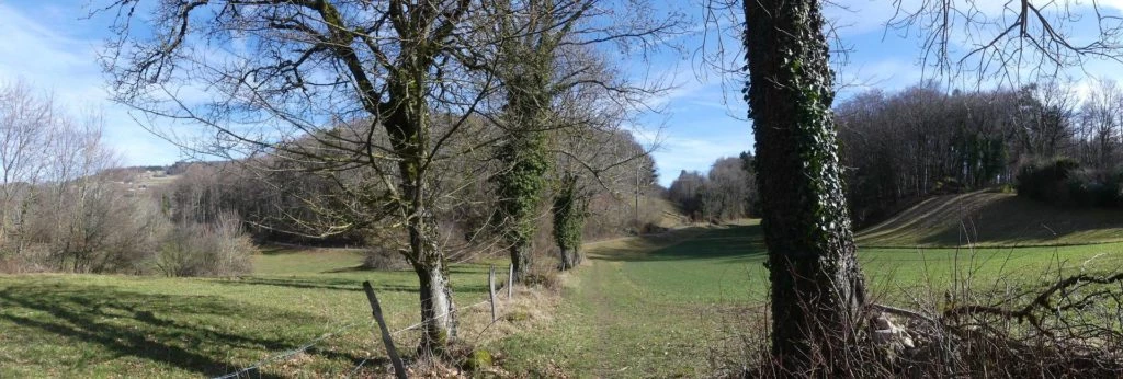 moreillon-paully-mont-pelerin-139