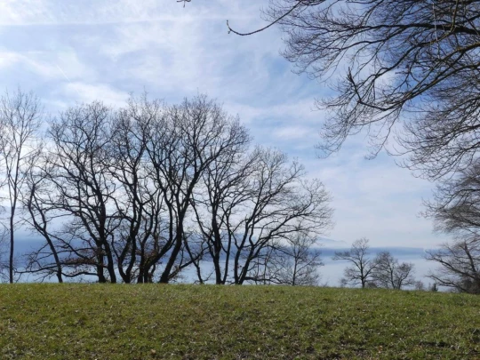 moreillon-paully-mont-pelerin-140