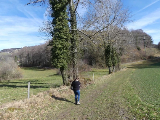 moreillon-paully-mont-pelerin-141