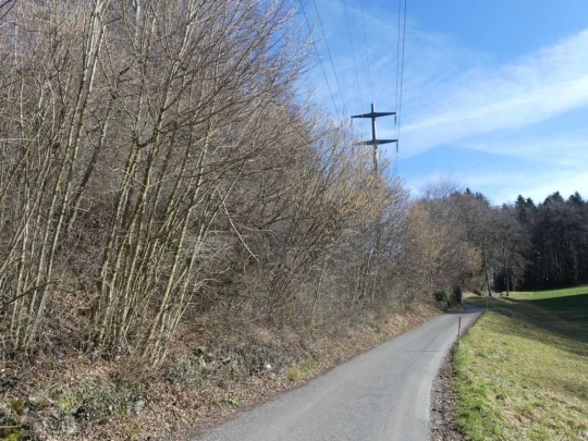 moreillon-paully-mont-pelerin-142