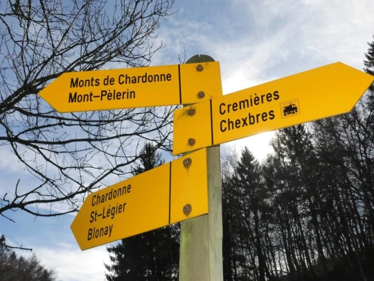 moreillon-paully-mont-pelerin-143