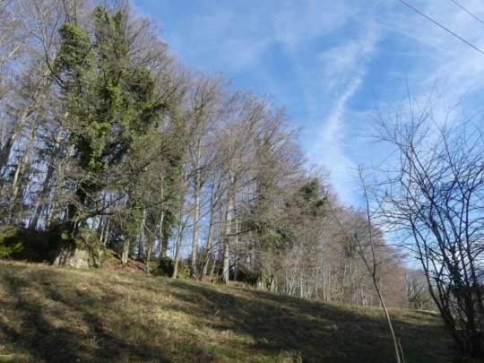 moreillon-paully-mont-pelerin-146