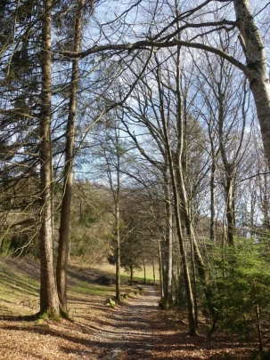 moreillon-paully-mont-pelerin-148