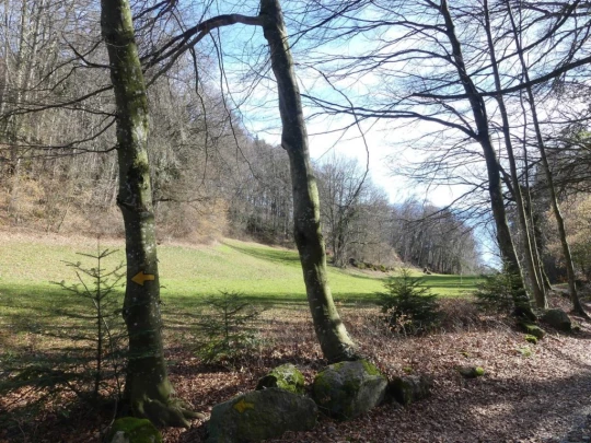 moreillon-paully-mont-pelerin-149