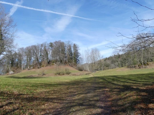 moreillon-paully-mont-pelerin-151