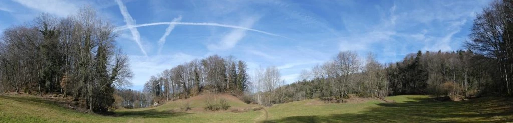 moreillon-paully-mont-pelerin-152