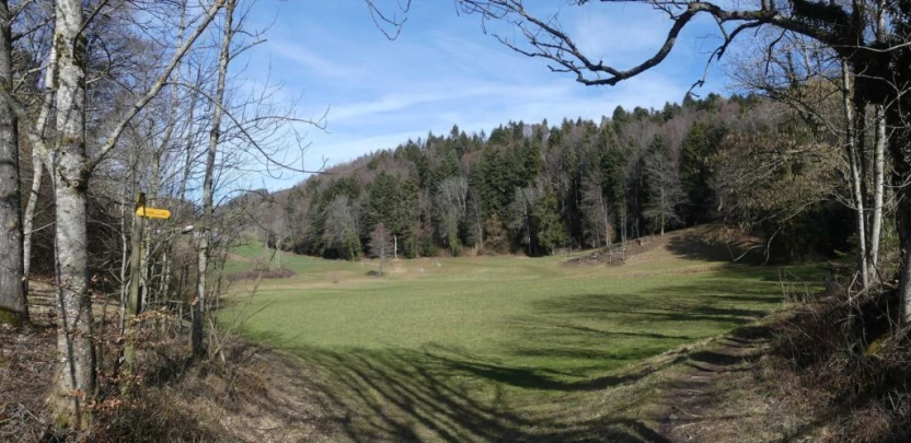 moreillon-paully-mont-pelerin-153