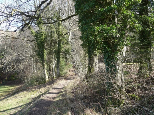 moreillon-paully-mont-pelerin-154