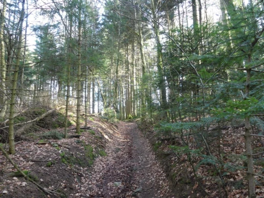 moreillon-paully-mont-pelerin-156