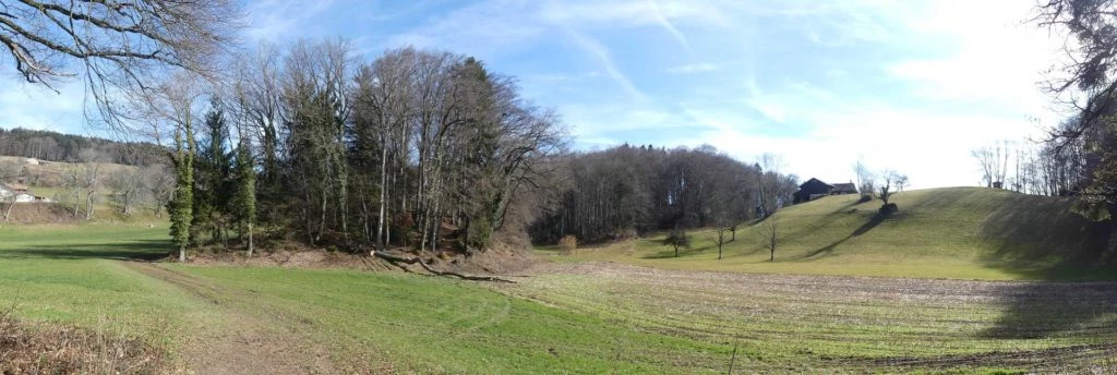 moreillon-paully-mont-pelerin-159