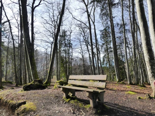 moreillon-paully-mont-pelerin-162