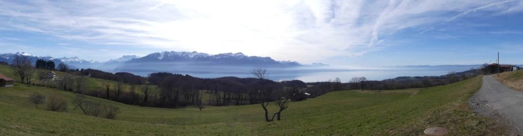 moreillon-paully-mont-pelerin-176