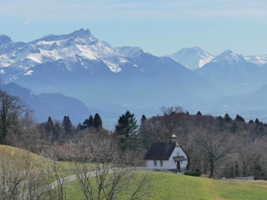 moreillon-paully-mont-pelerin-178