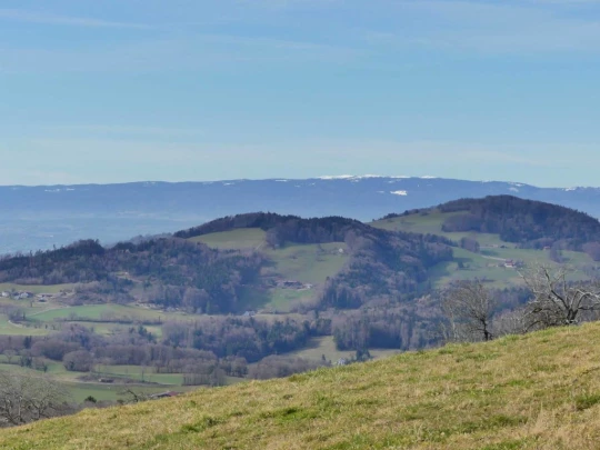 moreillon-paully-mont-pelerin-180