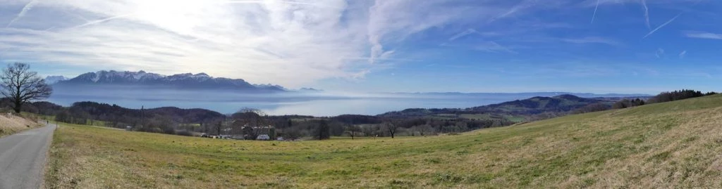 moreillon-paully-mont-pelerin-181