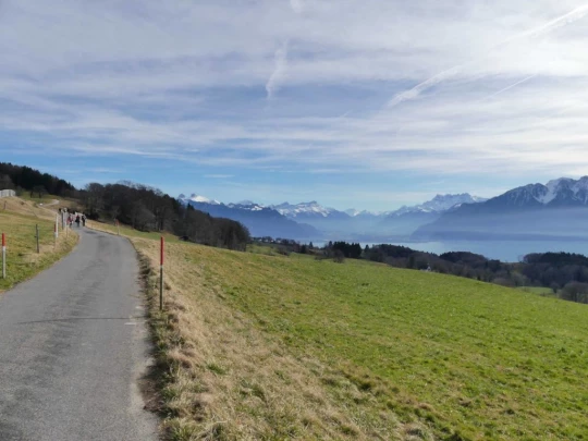 moreillon-paully-mont-pelerin-186