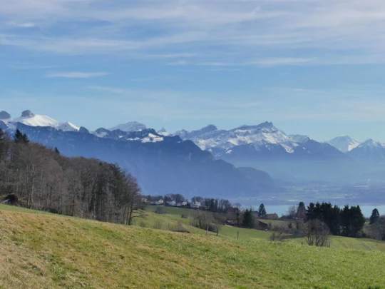 moreillon-paully-mont-pelerin-187