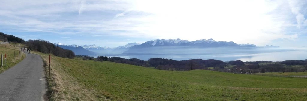 moreillon-paully-mont-pelerin-188